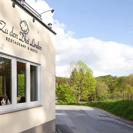 Hotel Zu Den Drei Linden 4*