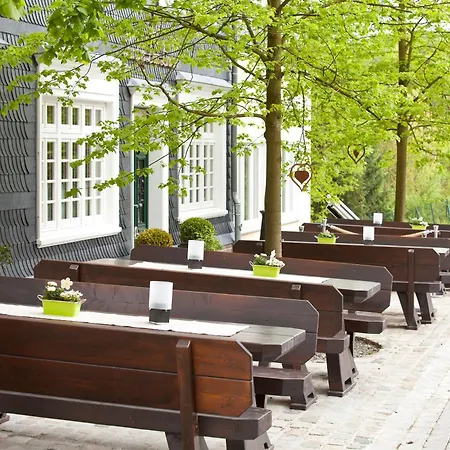Hotel Zu Den Drei Linden 4*