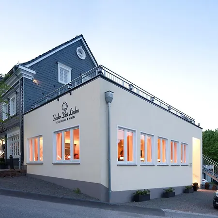 Hotel Zu Den Drei Linden 4*