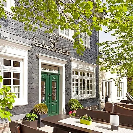 Zu Den Drei Linden - & Restaurant 4*