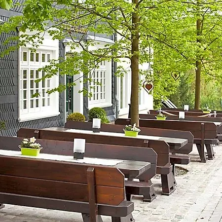 Hotel Zu Den Drei Linden - & Restaurant 4*