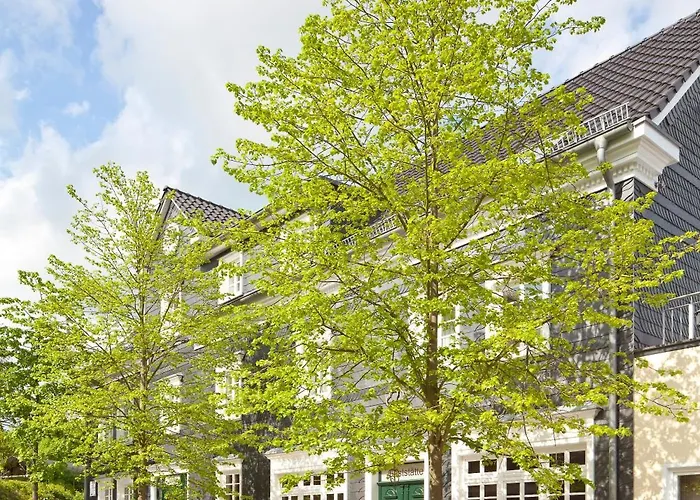 Hotel Zu Den Drei Linden - & Restaurant