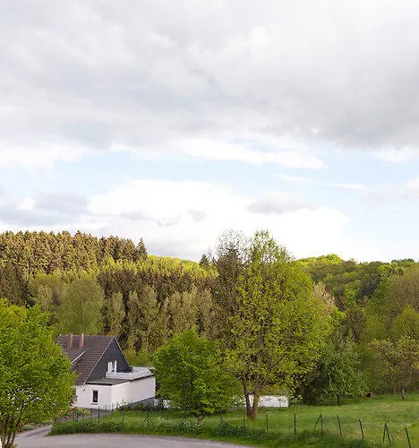 Отель Zu Den Drei Linden - & Restaurant